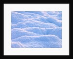 Snow by Assaf Frank
